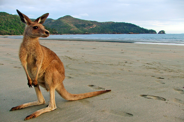 Australie