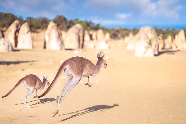 Australie