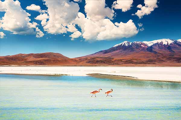 Bolivie