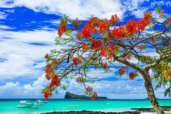 Ile Maurice et Seychelles - Deux îles, un océan