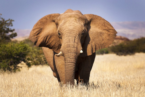 Namibie