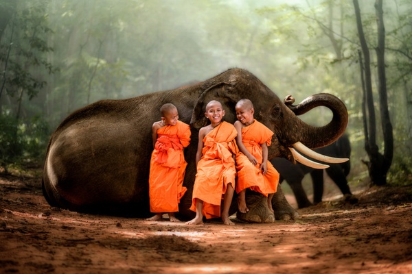 Thaïlande : Voyage au Pays des Sourires
