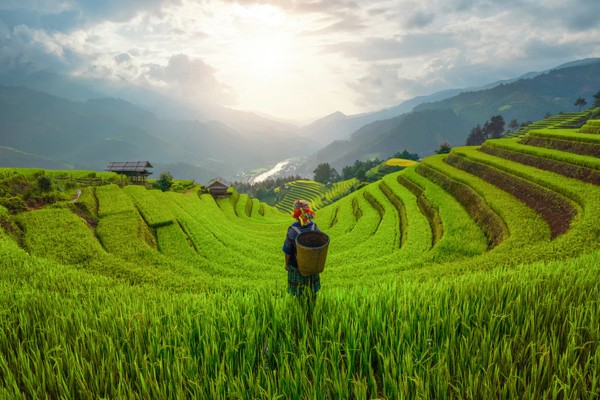 Les Couleurs du Vietnam : Entre Nature et Culture