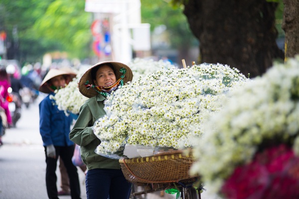 Éveil des Sens : Beautés du Vietnam