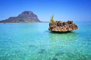 Jour 8 : Excursion à l'île aux Bénitiers, et vers Tamarin