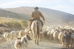 Jour 4 : De Salta à Purmamarca