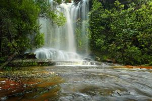 Jour 4 : Excursion dans le Royal National Park