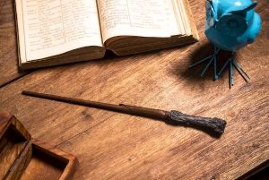 Jour 2 : Immersion dans l'univers d'Harry Potter