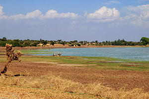 De Yirgalem à Addis Abeba (7 h de route)
