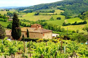 Vers le Val d'Orcia, Pienza et Bagno Vignoni