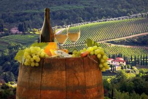 Montalcino, le Brunello et les thermes de San Filippo