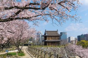 Jour 2 : Visite de Fukuoka 
