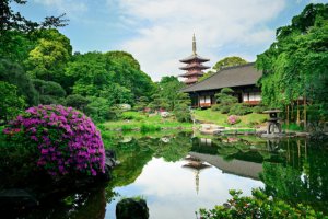 Jour 4 : Journée libre à Tokyo