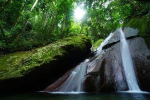 Jour 2 : À la découverte du mont Kinabalu et des sources chaudes de Poring