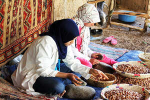 Découverte de la Vallée du Paradis et d'une coopérative d'argan