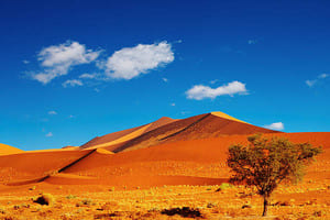 Jour 7 : Visite de Sossusvlei