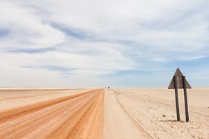 Jour 10 : De Etosha à l'aéroport de Windhoek (4 h de route)