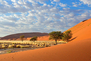 Jour 2 : De Windhoek à Sossusvlei (5 h de route)