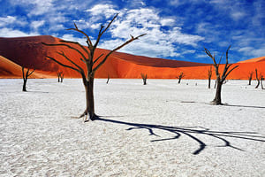 Jour 3 : Visite de Sossusvlei