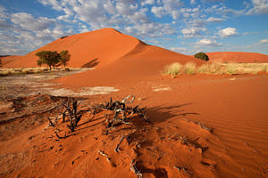 Jour 9 : Du désert du Namib à l'aéroport de Windhoek (3h30 de route)