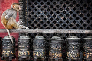 Jour 4 : Visite de Patan, la cité des arts