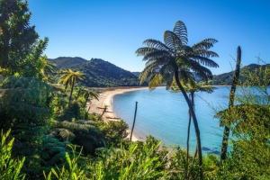 Kayak de mer dans les Marlborough Sounds 