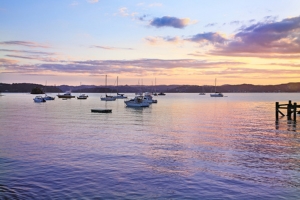 De Paihia à Auckland 