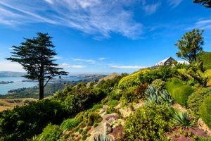 De Dunedin à Te Anau 