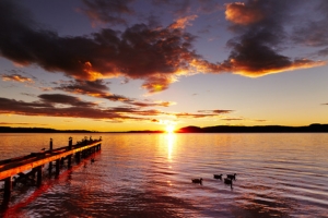 De Coromandel à Rotorua 