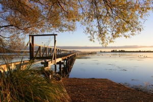 De Murupara à Taupo 