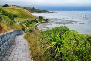 Observation des cétacés et Peninsula Walkway