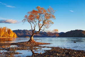 De Te Anau à Wanaka 