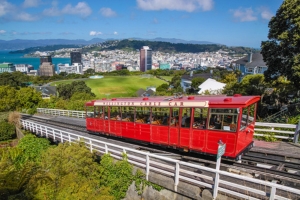 De Tongarino à Wellington 