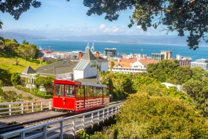 Visite de Wellington
