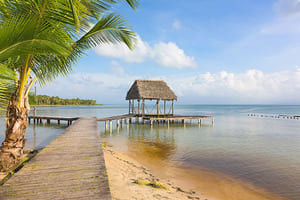 Jour 15 : Visite de Isla Bastimentos