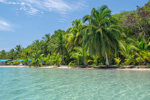 Jour 13 : De Panama city à Bocas del Toro en avion