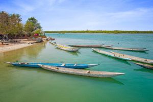 En pirogue, au cœur du delta