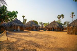 Au cœur du Pays Bassari