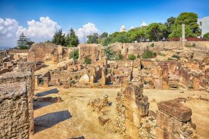 Visite du Musée du Bardo, Carthage et La Marsa