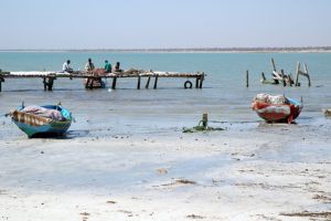 Journée complète aux îles Kerkennah : pêche et découverte locale