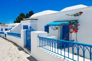Visite du Musée du Bardo, Carthage et La Marsa