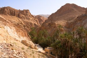 Exploration des oasis de montagne