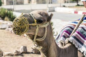 Retour sur Djerba