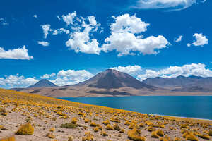 Jour 11 : A la découverte des Piedras Rojas y Lagunas Altiplanicas
